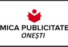 ANUNT PUBLIC - PIERDERI ACTE